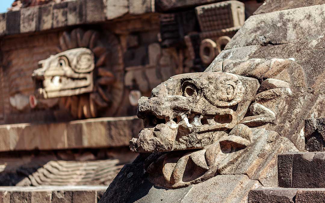 El axolote mexicano, la leyenda de un dios