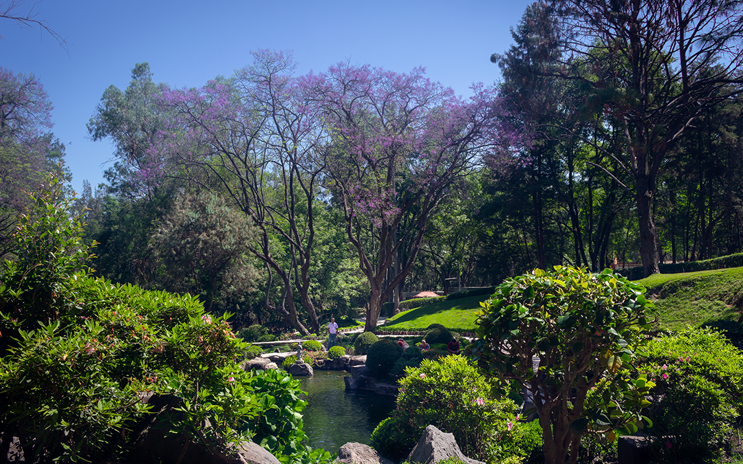 5 bellezas naturales